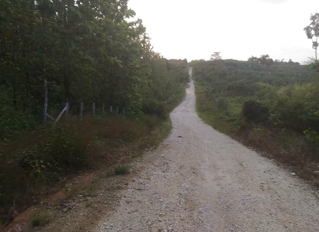 eNengDesa's tweet image. a journey without you, is just like an empty long road...

#alone #losingsignal #losingdata

😑😑😑😑😑😑😑😑