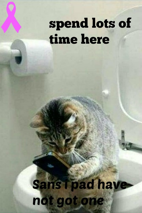 kittyguy77's tweet image. thanks friends at windows insiders and others, dying can be a trying time may be long may be short @donasarkar Windows insiders @microsoft .canada