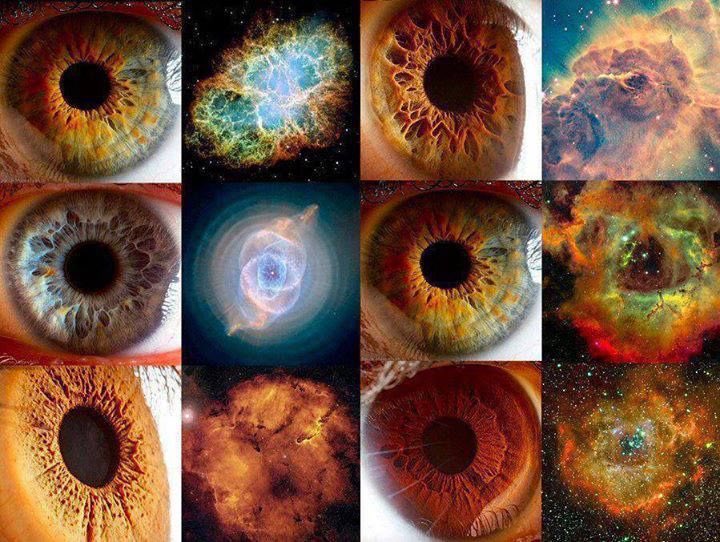 You are not small in retrospect of the big picture because you are 100% a part of the big picture.