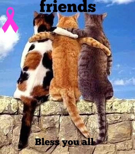 kittyguy77's tweet image. thanks friends at windows insiders and others, dying can be a trying time may be long may be short @donasarkar Windows insiders @microsoft .canada