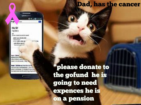 kittyguy77's tweet image. thanks friends at windows insiders and others, dying can be a trying time may be long may be short @donasarkar Windows insiders @microsoft .canada