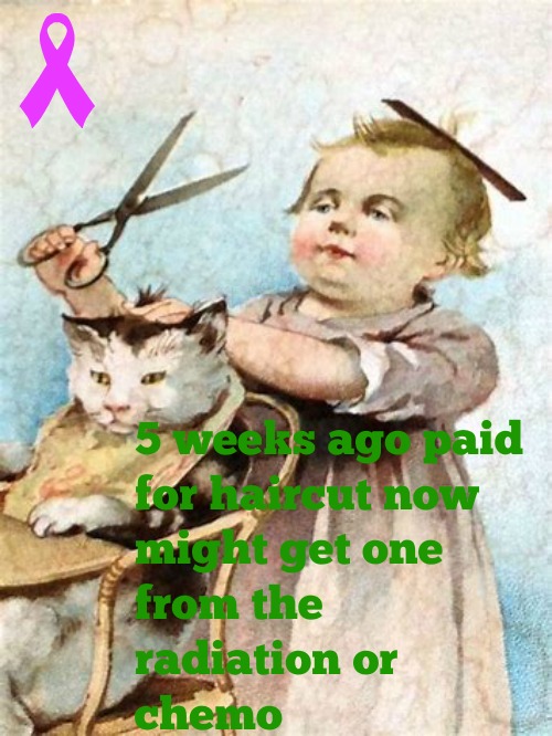 kittyguy77's tweet image. thanks friends at windows insiders and others, dying can be a trying time may be long may be short @donasarkar Windows insiders @microsoft .canada