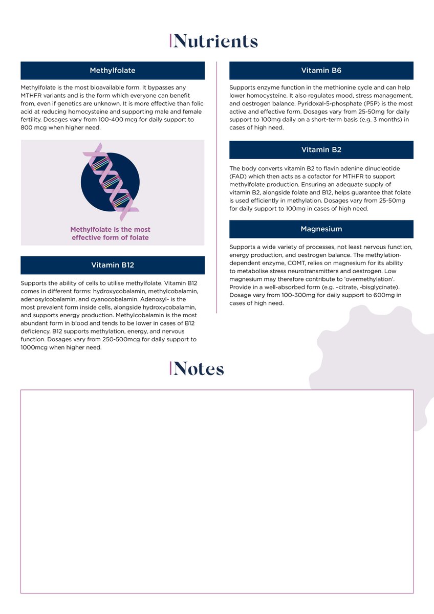 biocare's tweet photo. Methylation is one of the most critical processes that underpins our health and wellbeing; regulating mood and energy, hormone balance, immunity &amp; much more ✅

Take a look at our key recommendations for supporting methylation...

#BioCareEducates #Methylation #Health #Wellbeing https://t.co/PcgF44VJE0