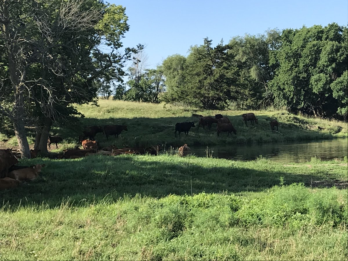 NECattlemen's tweet photo. Staff and Leadership are in Southeast Nebraska on this beautiful Thursday afternoon talking with members about NC and NCIG!

NC or NCIG questions? Call 402.475.2333 https://t.co/BjHhsILGHo