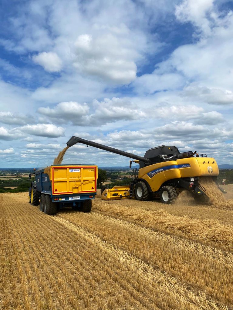 agiggins's tweet photo. #harvest2020 green and gold colours 🌾 🌾🌾 🌳 🌳🌳 https://t.co/BY3yqJkVdN
