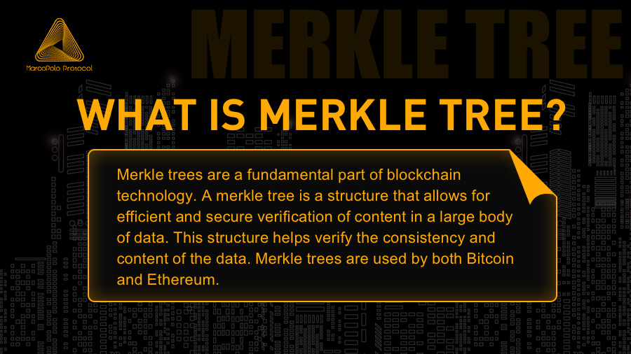 MapProtocol's tweet photo. #MAPClass Lesson 6: What is Merkle Tree? Learn fundamentals with us! #MAP $MAP https://t.co/zhnljYv2YD