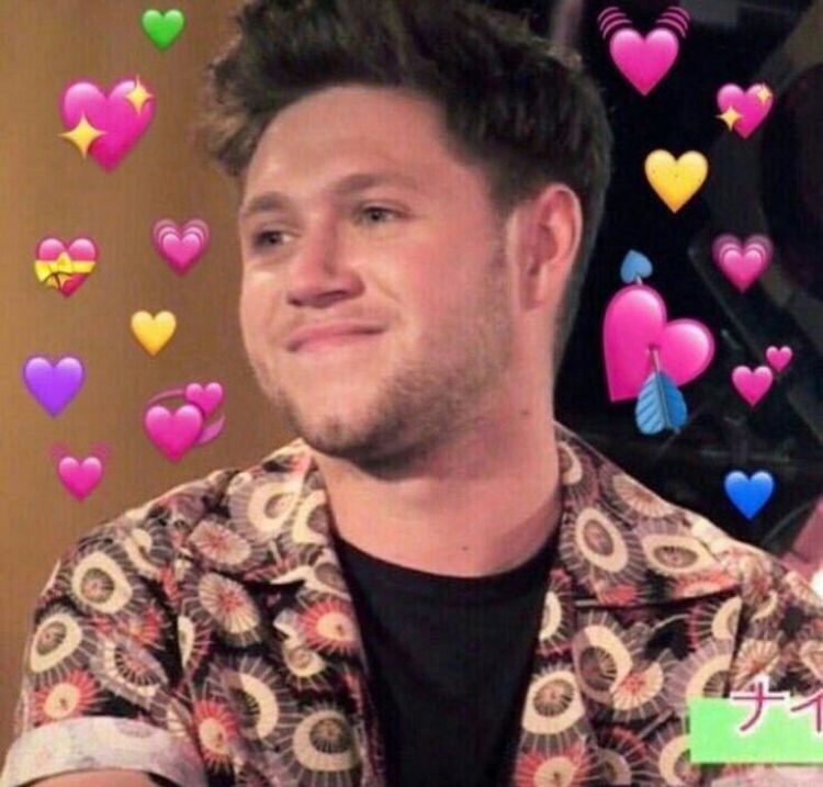 Sylva_PF's tweet photo. @NiallOfficial @LiamPayne @Harry_Styles @zaynmalik @Louis_Tomlinson Oh no Niall! You hurt me... I'm not fine, thanks 🙃 🤧 😭 https://t.co/UQNiWVZ4tz