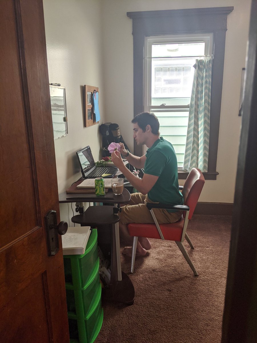 Teaching 2nd graders about bees over Skype. My favorite question: "can bees be struck by lightning?"