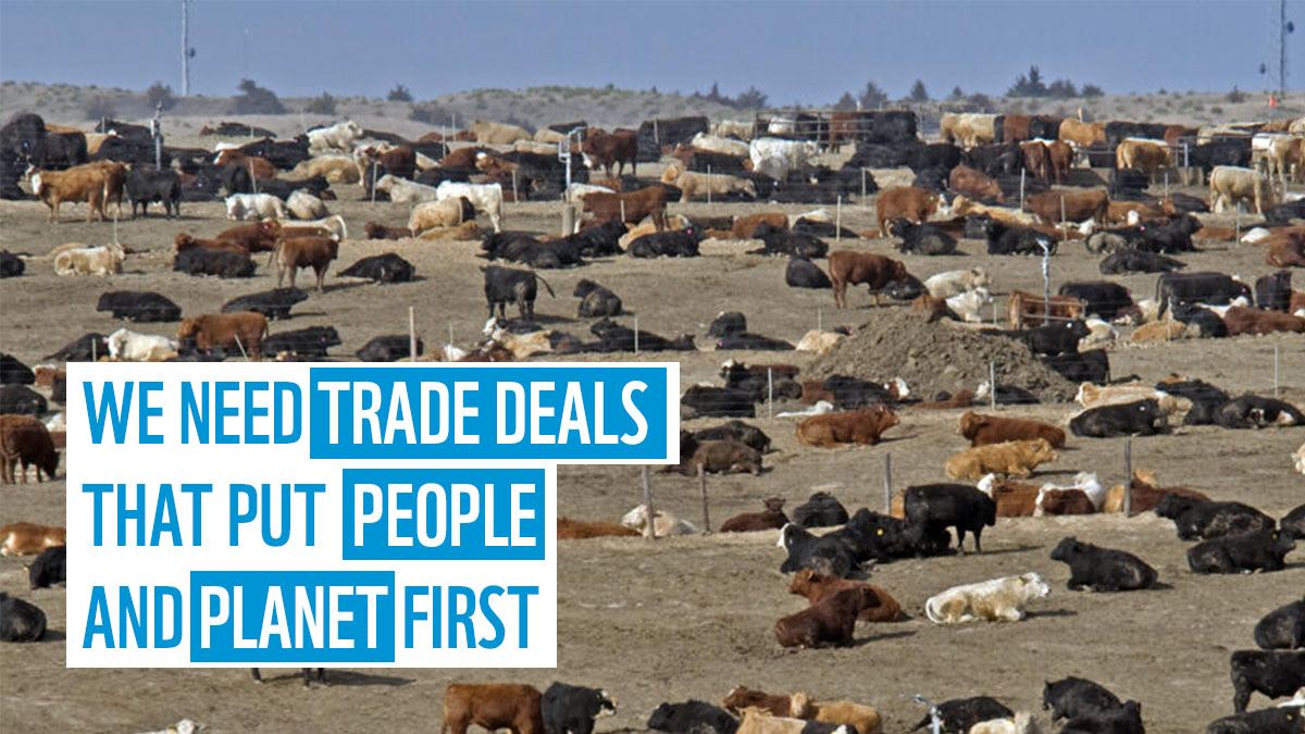Good news! UK won’t rush into US trade deal that would risk our food standards, our planet and our health.

We still need promises in law – to make sure they can’t be broken.

RT to tell @tradegovuk they’re doing the right thing holding out for a better deal #DontTradeOurPlanet