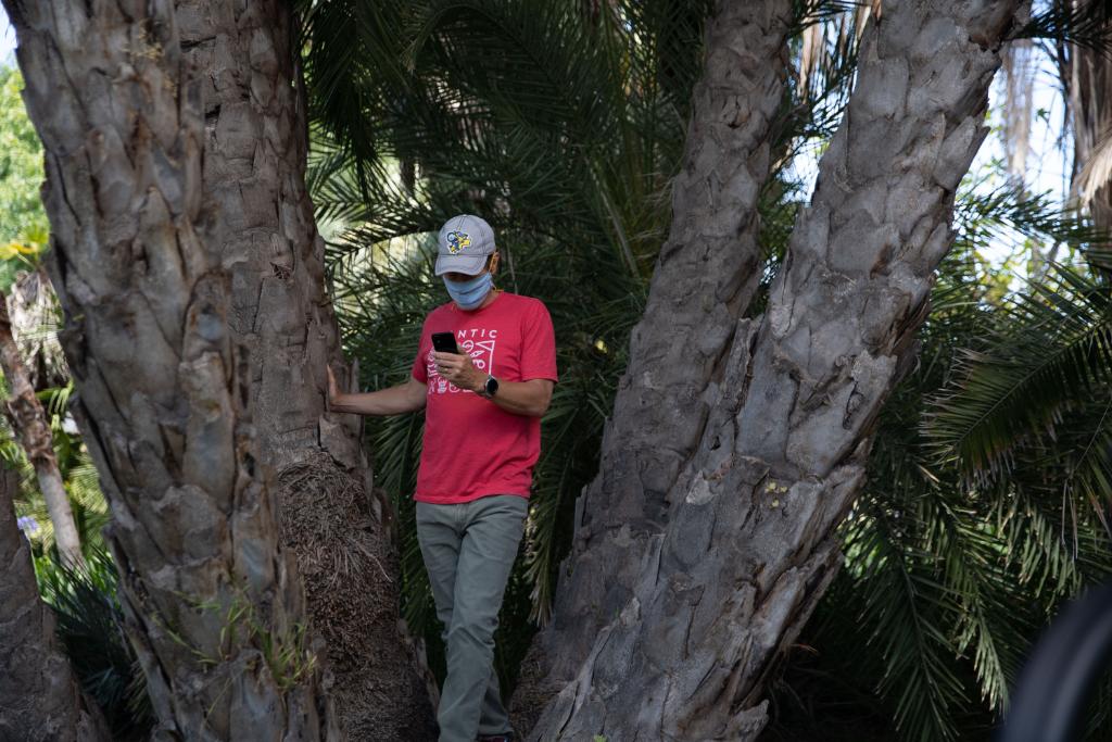 Niantic Spatial 🌎 tweet media