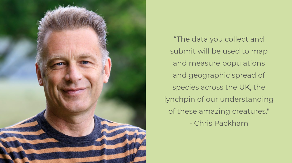 savebutterflies's tweet photo. Have you been taking part in our Big #ButterflyCount with @ChrisGPackham?

Add your counts to our website or via the app and look at our fascinating interactive map to see how your data is contributing to conservation science and research. https://t.co/2y19tFBxVR https://t.co/kCE4HN6M2V