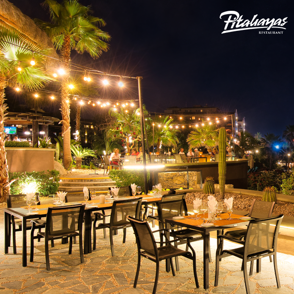 Pitahayas_Rest's tweet photo. Un magnífico lugar en el que cada detalle te hará pasar una velada inolvidable #PitahayasRestaurant 
Reserva tu mesa aquí: https://t.co/GGYR95pLFJ https://t.co/YA2674iMwc