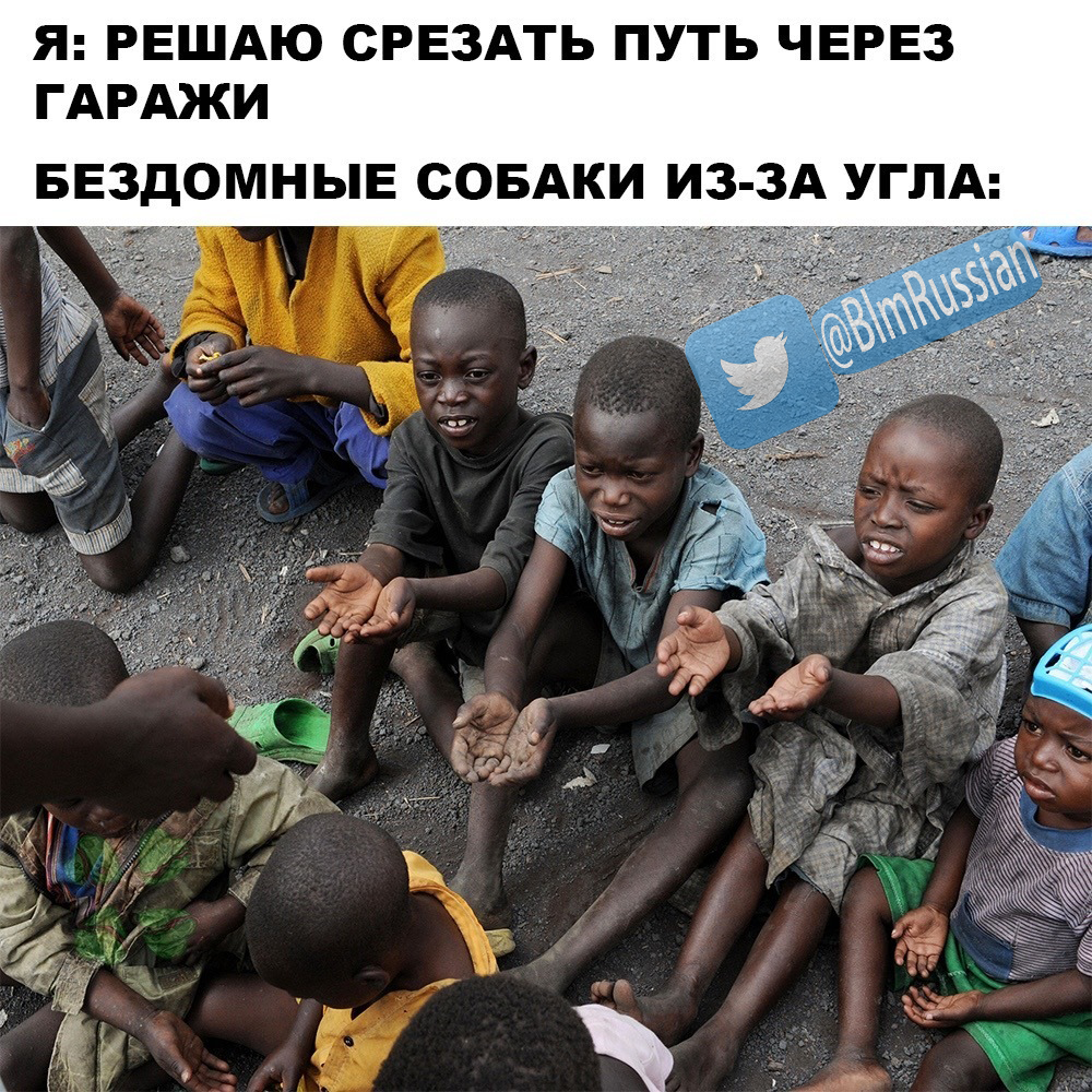 BlmRussian's tweet photo. Russians compare hungry black children to dogs
#blm #BlackLivesMatter #sjw #GeorgeFloyd #Floyd #Obama https://t.co/M8YBAjV9WE