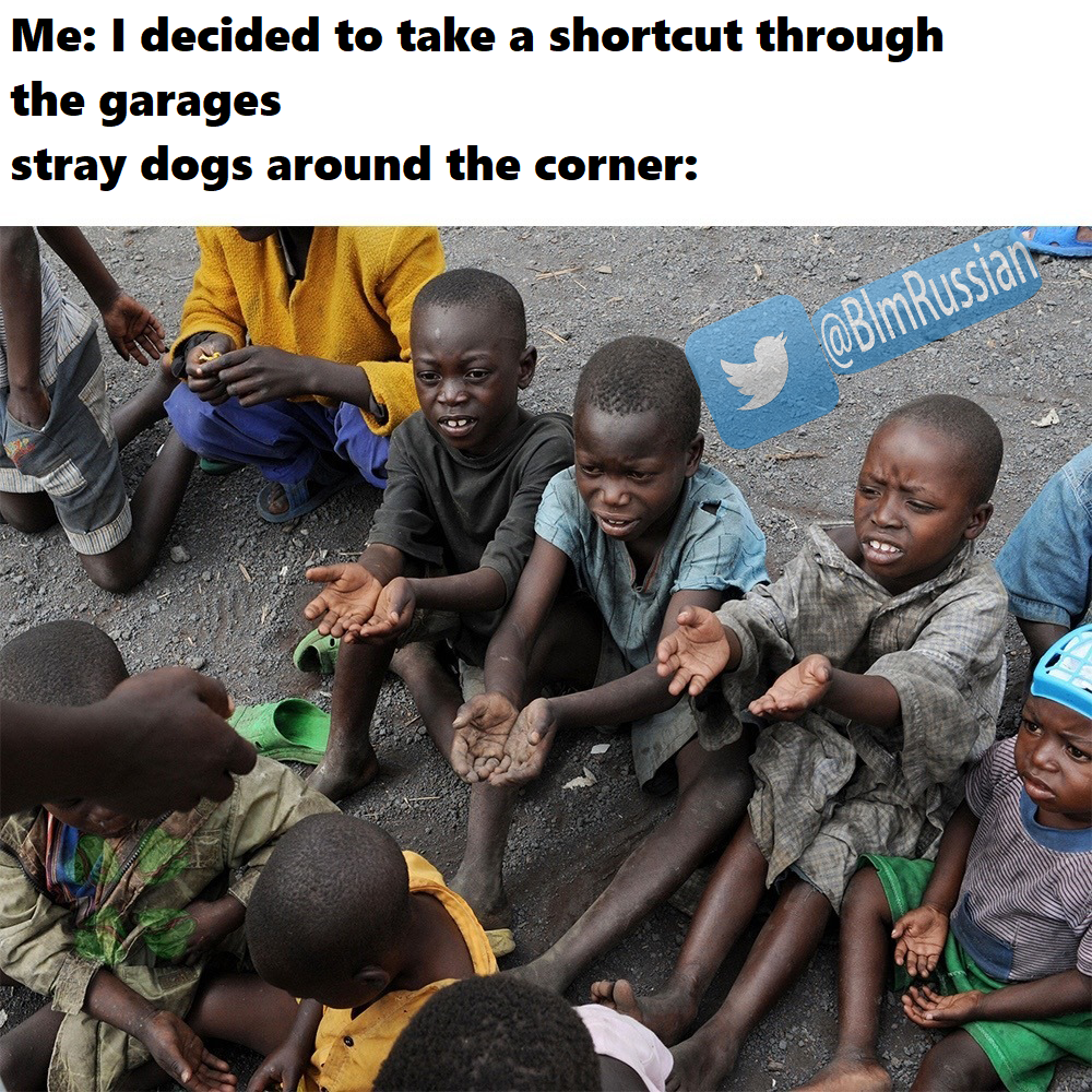 BlmRussian's tweet photo. Russians compare hungry black children to dogs
#blm #BlackLivesMatter #sjw #GeorgeFloyd #Floyd #Obama https://t.co/M8YBAjV9WE
