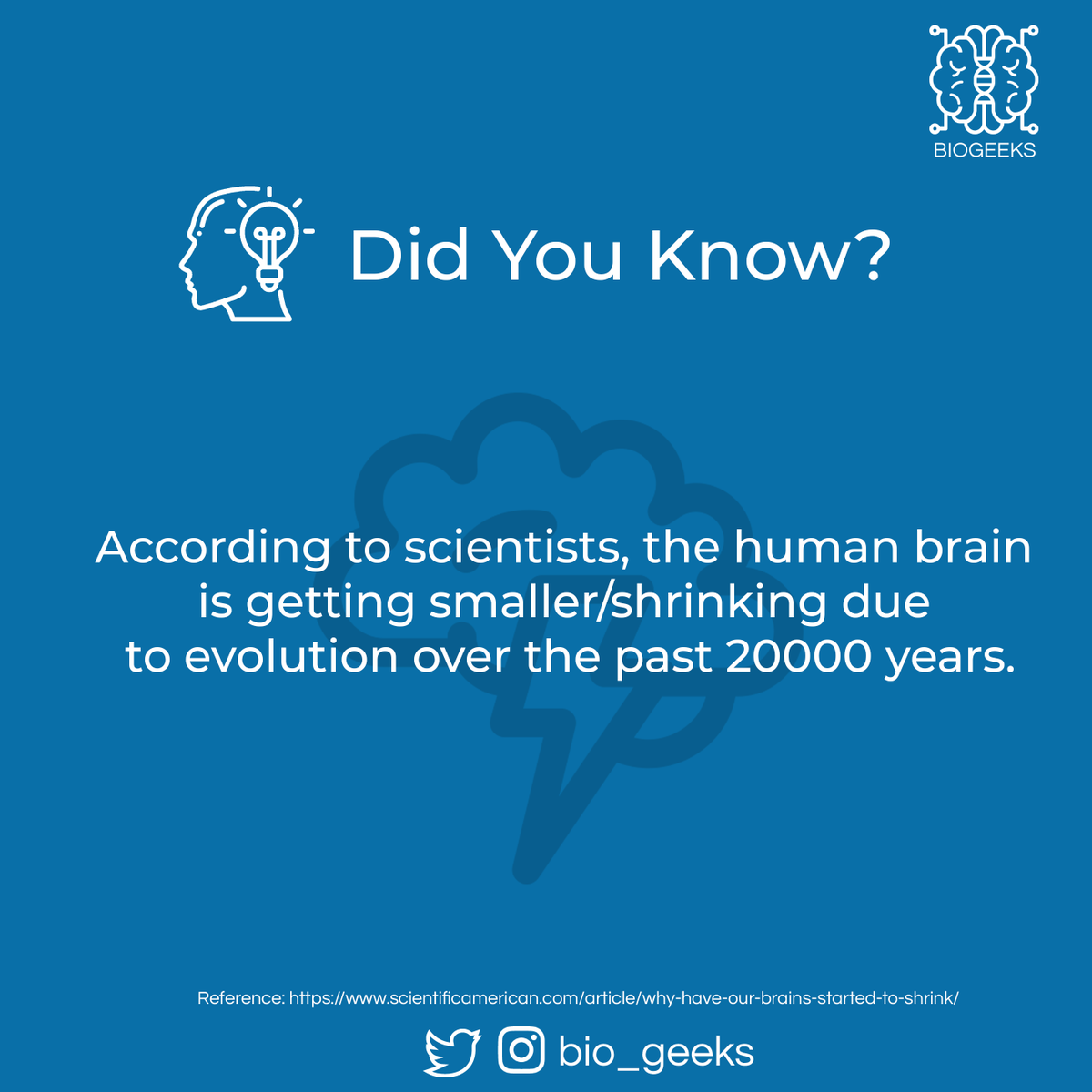 bio_geeks's tweet photo. #biogeeks #biology #biotechnology #biotech #lifesciences #microbiology #biochemistry #cellbiology #immunology #genetic #science #sciencefiction #sciencememes #biologymemes #biotechnologymemes #biochemistrymemes #research #researcher #brain #evolution #small #scientists https://t.co/jCmy98sjPn