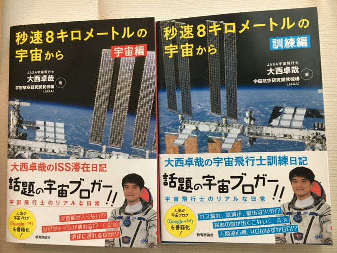 秒速5センチメートル の評価や評判 感想など みんなの反応を1日ごとにまとめて紹介 ついラン