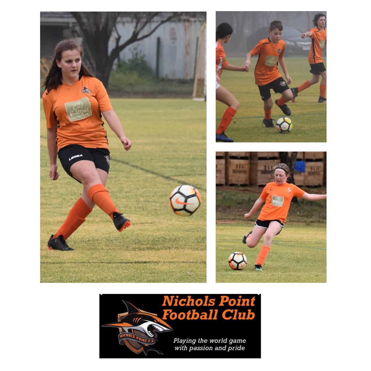 NicholsPointSC's tweet image. NPFC Leading Goal Scorers 2020

S-League Juniors 

14 Goals - Maia Gowers 
5 Goals - Colby Marr
5 Goals - Makenzie Holy 
4 Goals - Gabbi Circosta 
3 Goals - Hamish Pitt
3 Goals - Max Bell
3 Goals - Heidi Gibson

#gopointers