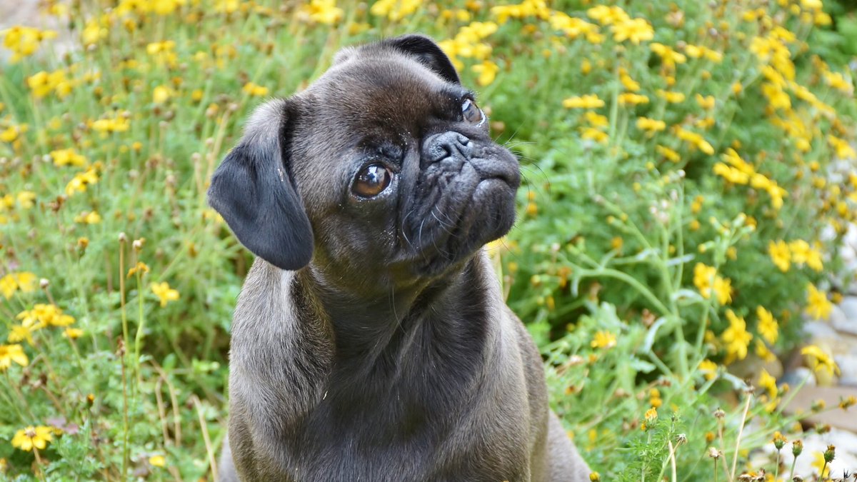 CaregiveWarrior's tweet image. Weapon of the day: if it sounds scary listen. Your intuition may be telling you something #caregiberwarrior #caregivers #youngcaregivers #ThursdayMotivation #listen