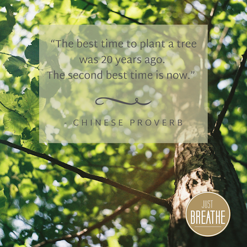 Today we'd love to share some healing wisdom with you! 🌳☺

#inspiration #healingislove #inspirechange #healingcommunity #globalcommunity  #holistichealth #plantyourhealingseed #jointhehealingcommunity #healinghotelsoftheworld #healinghospitality #justbreathemag #justbreathe