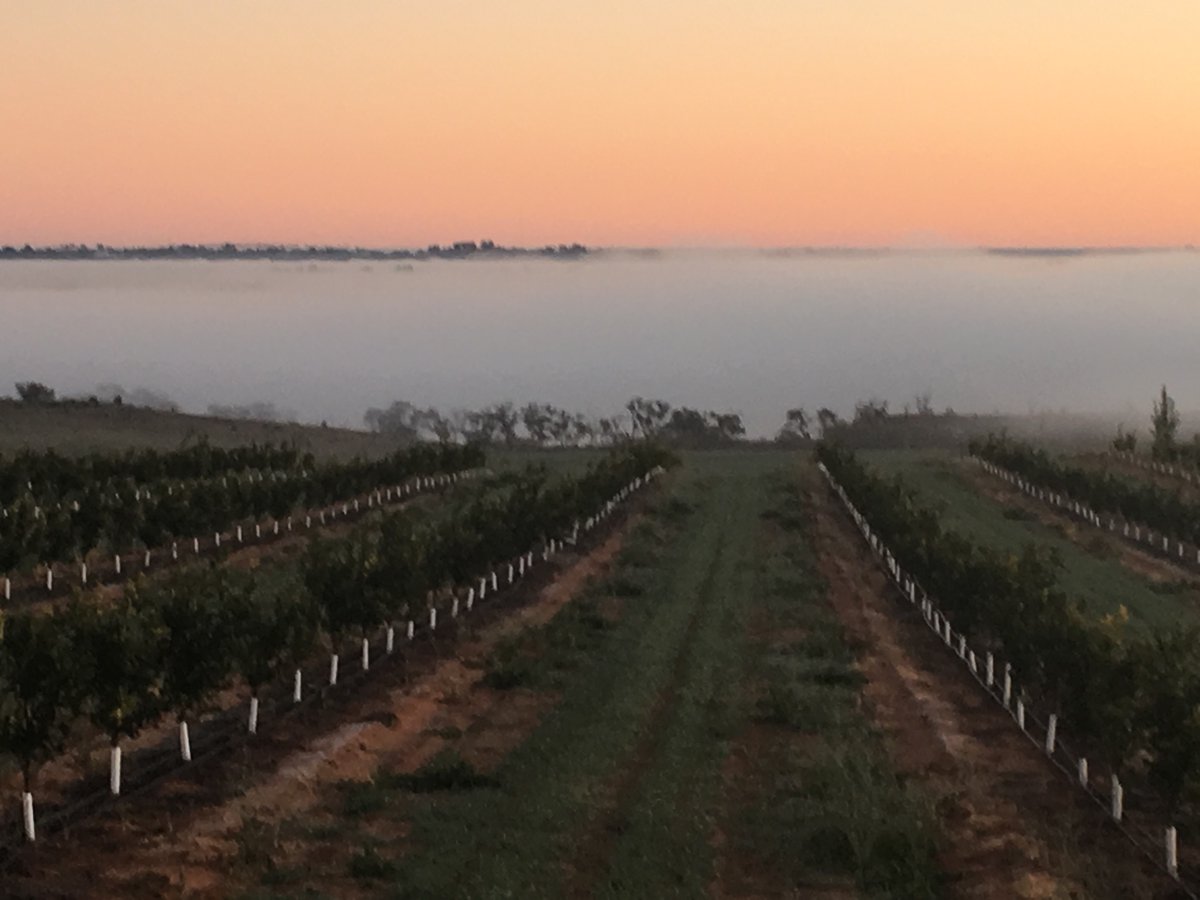 Fair to say it was a cold start today @ bookpurnong. - 4.1