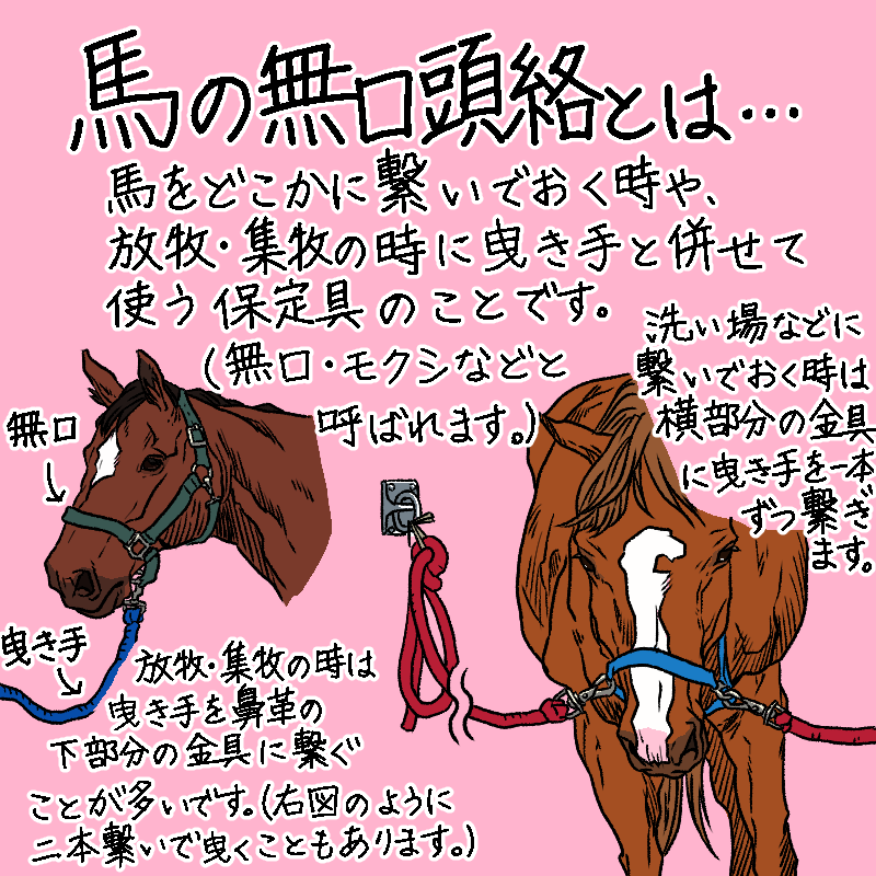 西郷トロ 以前馬具の時にチラッと紹介した無口についてもう少し詳しく描いてみました 人が馬の世話をする時に無くてはならない大切な道具です 絵の参考にするのに必要な 仔馬用の無口の写真を撮ってきてくれた友人に感謝 馬具 イラスト 馬