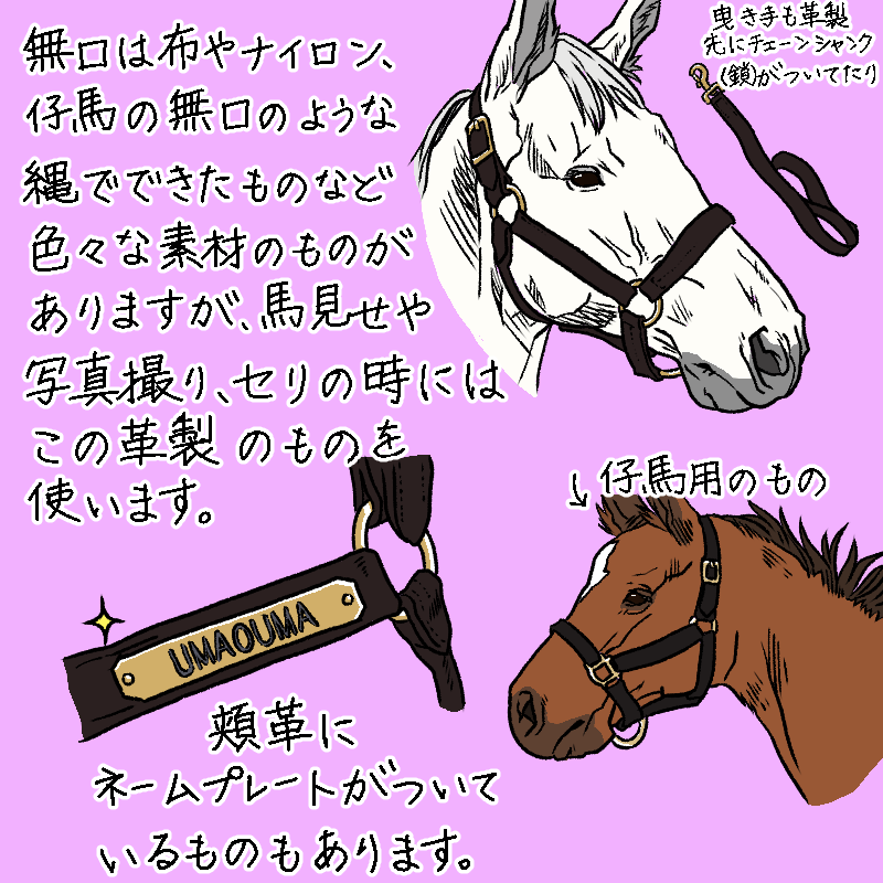 以前馬具の時にチラッと紹介した無口についてもう少し詳しく描いてみました😊人が馬の世話をする時に無くてはならない大切な道具です。
絵の参考にするのに必要な、仔馬用の無口の写真を撮ってきてくれた友人に感謝🙏✨
#馬具 #イラスト #馬 