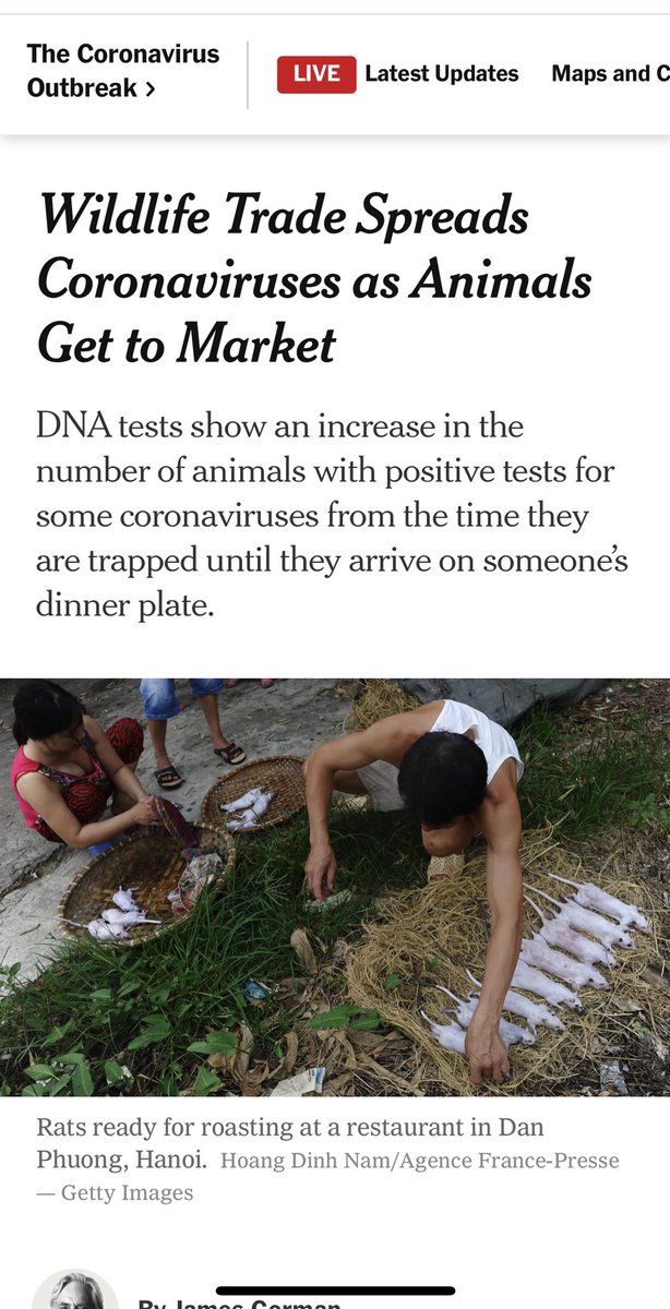 DrDavidDuong's tweet photo. Despite being a champion in the #covid19 pandemic with ZERO deaths—this doesn’t get featured in western news media; instead @nytimes focuses on the wildlife trade in the country. Why? @jimgorman #unbalancedreporting @toddmpollack @VietnamNewsVNS https://t.co/GsK24HvaYY
