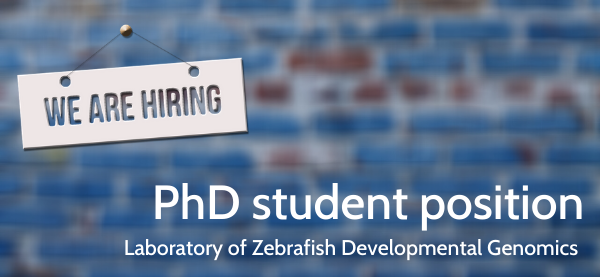 IIMCB_Poland's tweet photo. Laboratory of Zebrafish Developmental Genomics at #IIMCB, headed by Cecilia L. Winata is looking for ๐ PhD student๐
๐ Deadline for applications: August 18, 2020.
๐ More info: https://t.co/q8TTVLIkH8
#JobOffer #NCN #job #CeciliaWinata #WinataLab https://t.co/lxiFpKg9OD