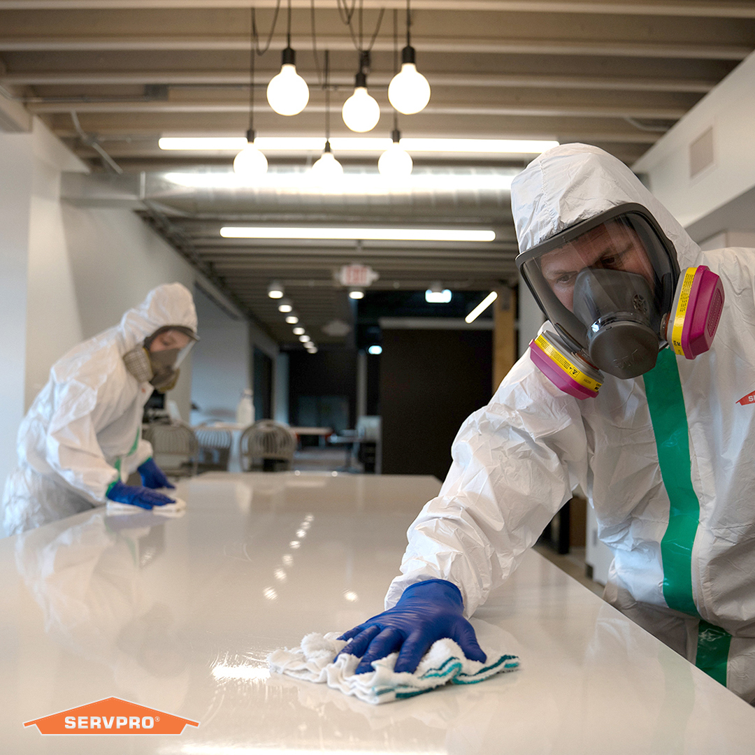 We can help minimize the spread of germs with proactive cleaning! At SERVPRO, we adhere to the highest cleaning and sanitization standards, making us the #1 choice for cleanup and restoration. Call (956) 568-0266  to see how we can help clean your home or office. #Flu