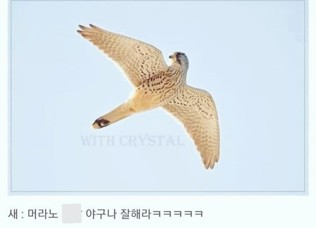 UgcfcC6ctcwv's tweet photo. 새는 날아가면서 뒤를 돌아보지 않는다 https://t.co/lOa6scqXmP