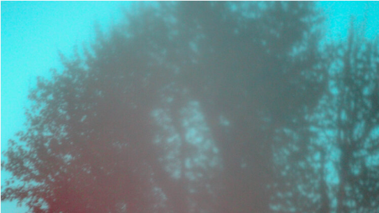 RuyaMaps's tweet photo. This is the last piece Lidia was working on before lockdown, 'The Self.' She continued this project about self-discovery, portraying emotions of uncertainty through images taken from her outside patio. #lockdownart https://t.co/KEA6OwtIQP