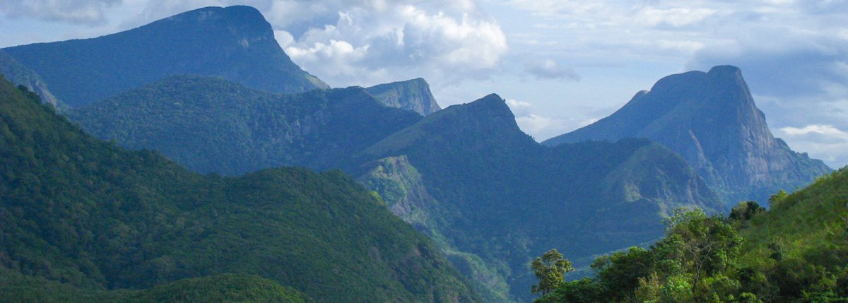 SLHCinLondon's tweet photo. #DiscoverSriLanka 🇱🇰 - Knuckles Mountain Range
#KnucklesMountainRange has been named for its resembles to the knuckles of a clenched fist
Located in the #UNESCO world heritage site, Central Highlands of #SriLanka, it is a popular spot for #hikers & #naturelovers
#SoSriLanka https://t.co/PJ0S1OKT6S