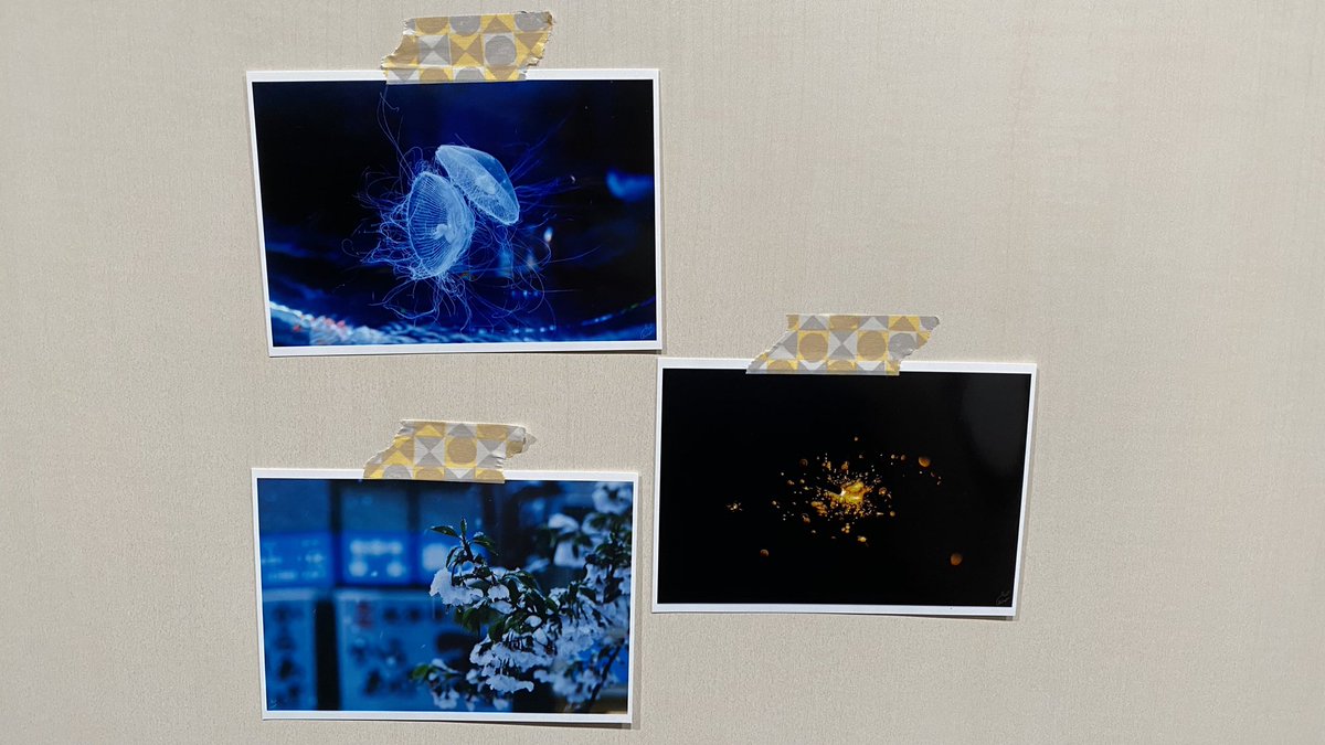 Chiro 写真現像できる様になりました よかったらぜひお願いします もし現像してくれる方いましたら タグ使ってくれると嬉しいです やり方 ネットプリント ファミマかローソン 写真用紙 写真プリント L判 日付なし プリント領域 右 ユーザー