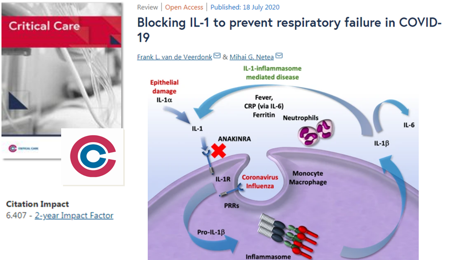 Crit_Care's tweet photo. #CritCare #OpenAccess
#Review https://t.co/8t759KPUVg
#COVID_19: the role of #nflammation & #IL_1/#IL_6 pathway in the pathogenesis of severe #infections and #ARDS
#FOAMed #FOAMcc #BMC #ICU #SARS_CoV_2 #epidemics #SARS #MERS @jlvincen @ISICEM https://t.co/GJW2UYLhFm
