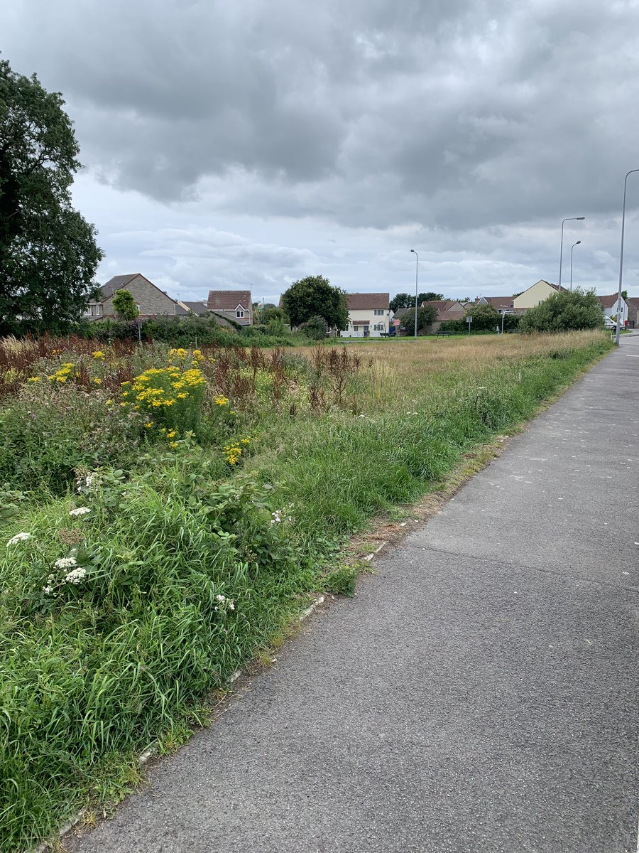 LASmith23's tweet image. How for few months @adm_construct