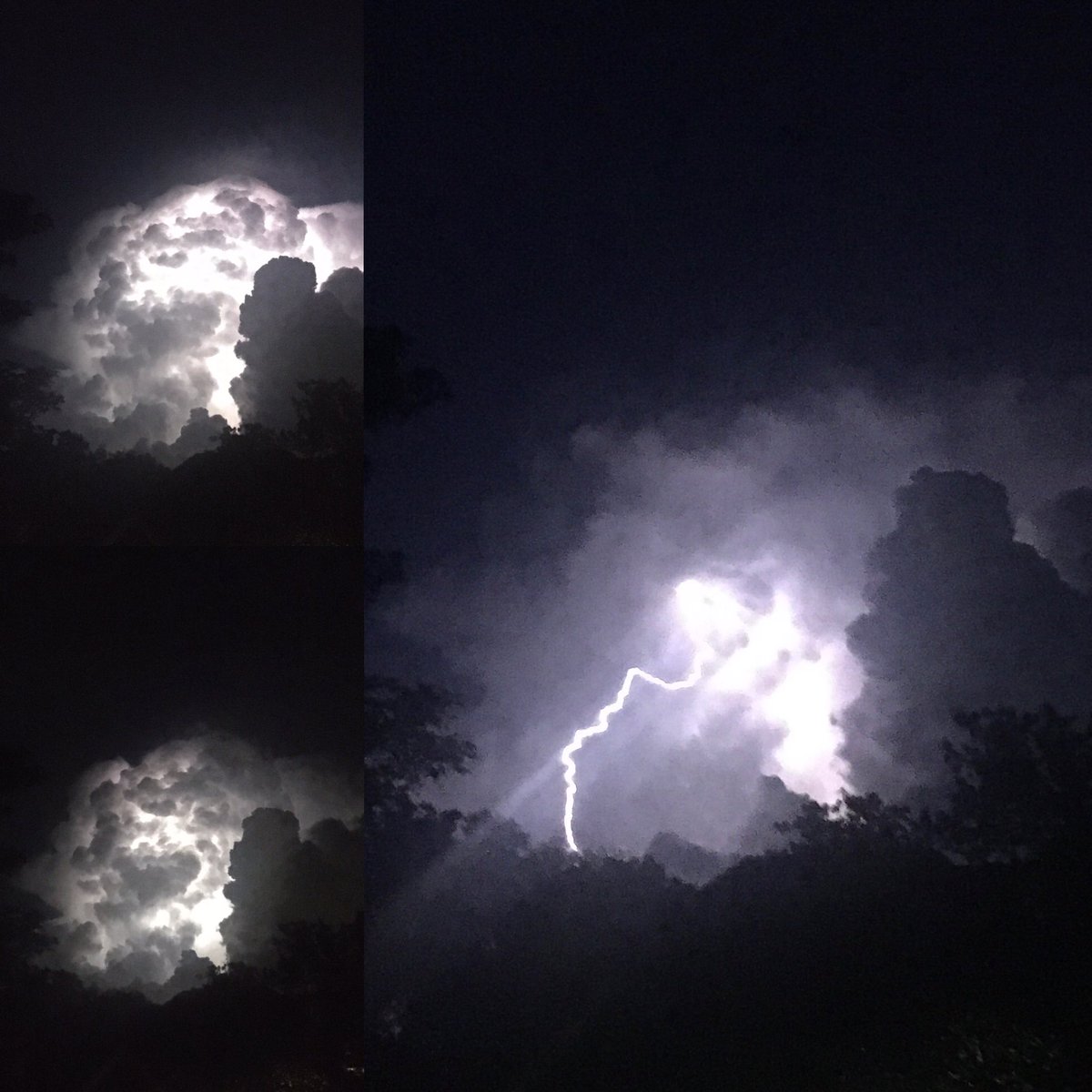 rhluttrell's tweet image. Triple shot of energy!