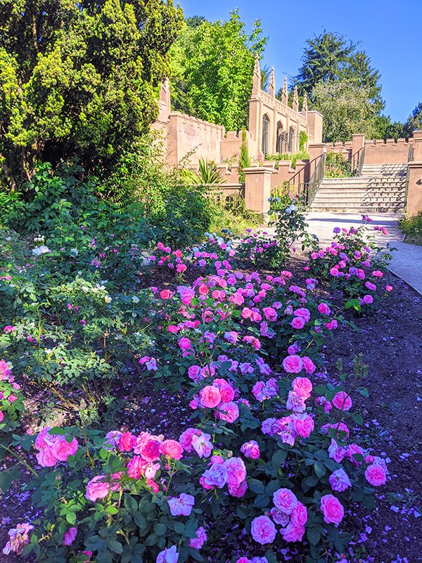 Gunnersbury1's tweet photo. Parks have played a vital role during lockdown, giving us a space to get some exercise and enjoy some fresh air!

If you've loved coming to Gunnersbury over the past few months, share your love tagging #ForTheLoveOfGunnersbury. https://t.co/H5TxwzfsRX