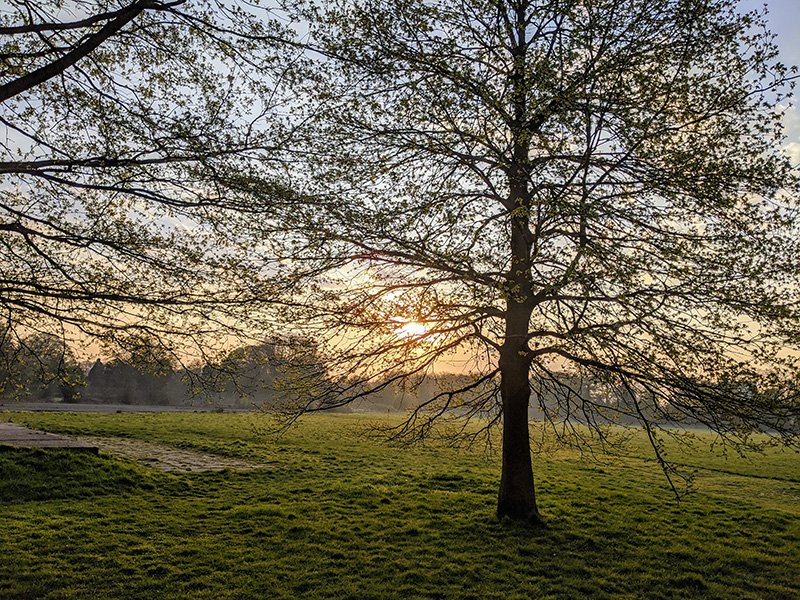 Gunnersbury1's tweet photo. Parks have played a vital role during lockdown, giving us a space to get some exercise and enjoy some fresh air!

If you've loved coming to Gunnersbury over the past few months, share your love tagging #ForTheLoveOfGunnersbury. https://t.co/H5TxwzfsRX