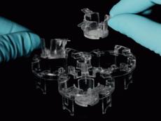 LonzaBioRes's tweet photo. In a recent interview with @ddwjournal, #DrugDiscovery expert, Katrin Hoeck, explains how advanced #3Dcellculture technologies can build #biologicallyrelevant models to assess toxicity and specificity of on- and off-target effects in early stages: https://t.co/7Ll2YcrxwT https://t.co/3jb7H7GO8q