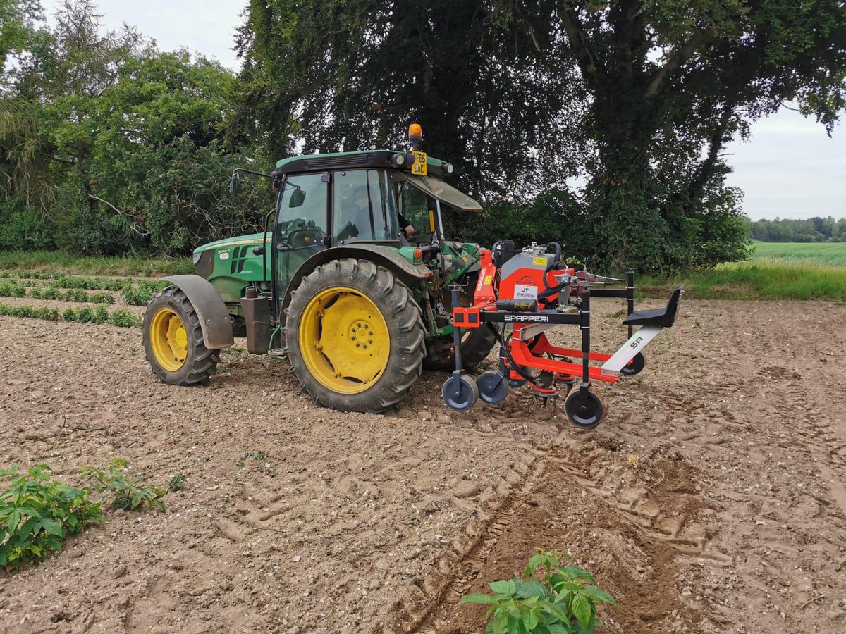 jfhudsonltd's tweet photo. Demos of the incredible @SpapperiNTSrl weeders are ongoing and the results are spot on. Yesterday we were in Kings Lynn demoing a weeder in a raspberry crop. #jfhudsonfarming #forwardthinkingfarming #innovativefarming #Spapperi #agriculturalmachinery https://t.co/TYNrgg81G3