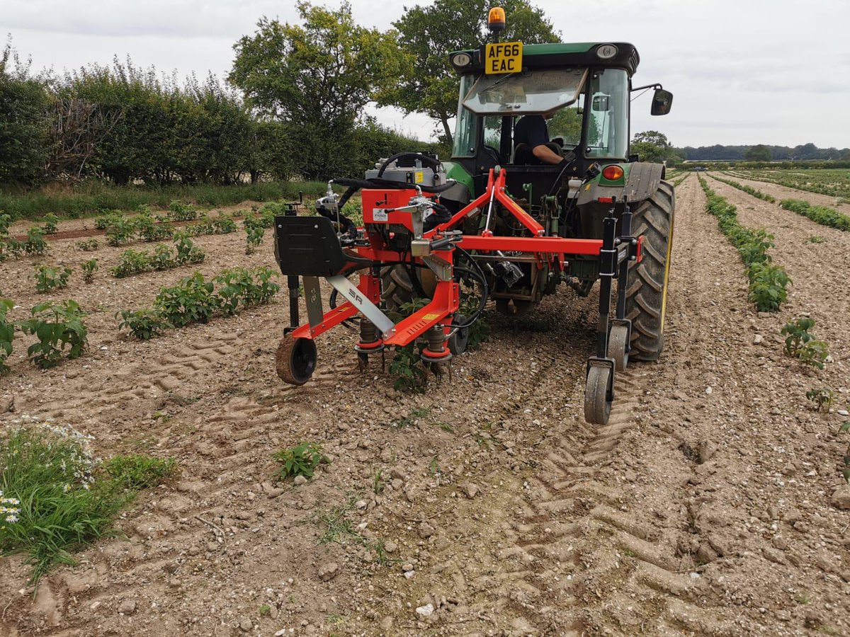 jfhudsonltd's tweet photo. Demos of the incredible @SpapperiNTSrl weeders are ongoing and the results are spot on. Yesterday we were in Kings Lynn demoing a weeder in a raspberry crop. #jfhudsonfarming #forwardthinkingfarming #innovativefarming #Spapperi #agriculturalmachinery https://t.co/TYNrgg81G3