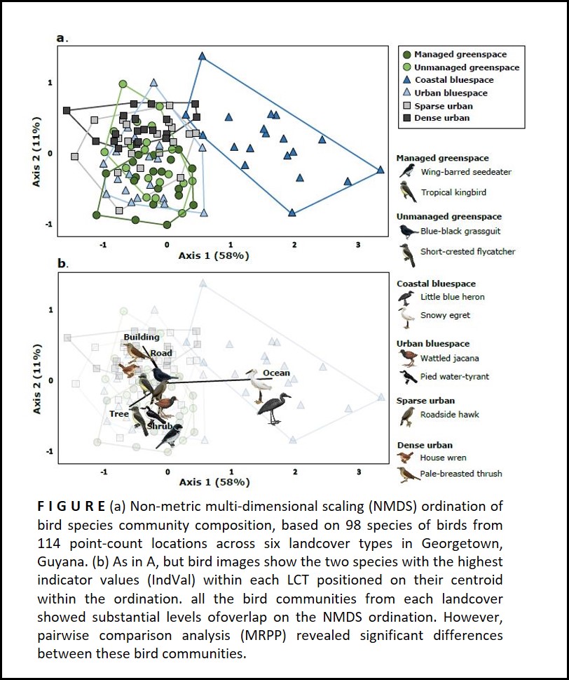 NatureWilling's tweet photo. 4. Results
We recorded 3408 birds (98 species). 
Avian detections, richness, and community composition differed across LCT, with managed greenspace (1st) and urban bluespace (2nd) supporting most diverse communities. 
Indicator species present in all LCT.
#DICECON20 #ConsArea https://t.co/PGdb1NHpZ0