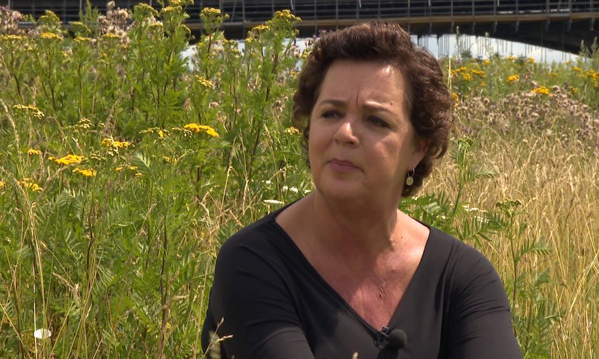 Wandelen na borstkanker, maar ook voor Nicole geen Vierdaagse gld.nl/B70-