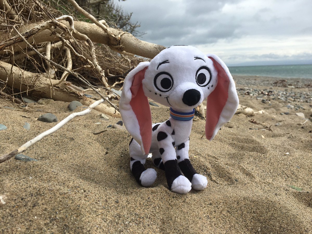 monty66068936's tweet photo. Have some pictures of when I took my Dolly plushie to the beach when I was in Wales because the rest of the photos have my ugly mug in them #101DalmatianStreet https://t.co/NuQNCN0YiE