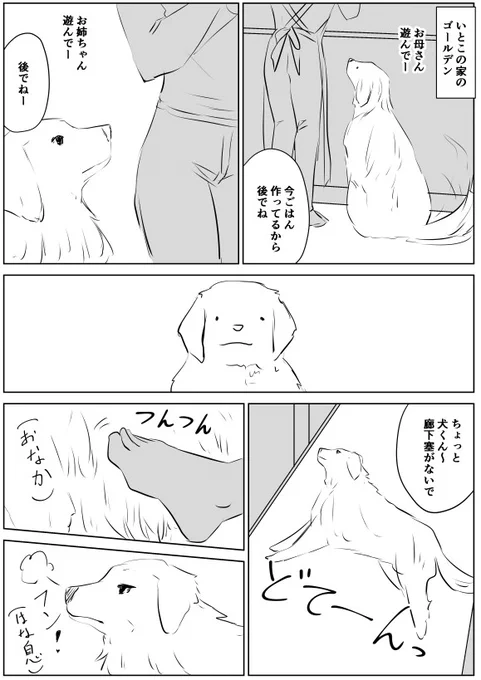従兄妹の家にいたゴールデンレトリバーをたまに思い出す。ふて寝して、めっちゃ鼻息の音した。 