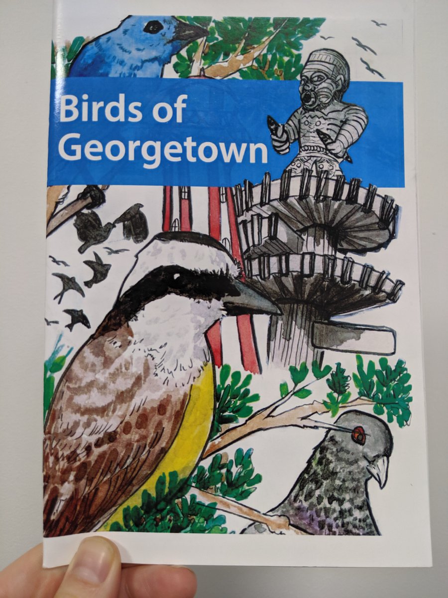 NatureWilling's tweet photo. 6. Notes 
Click here if you want to read the full study in @Biotropica https://t.co/Ne7wVNpNjb
 
A bird book for schoolchildren is also in the works with @ConservationOrg and #Guyana artist @Tortured_Minds_ 

Photos: @agamiaagami 

#DICECON20 #ConsArea https://t.co/NSCn5pf7Wc