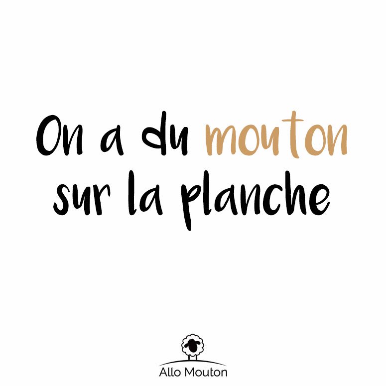Allo Mouton 🐑 tweet media