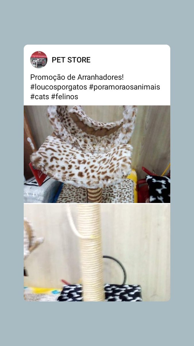 PetStoreCatete's tweet photo. https://t.co/QTJ8anucpD https://t.co/o4NEDKUXCU
