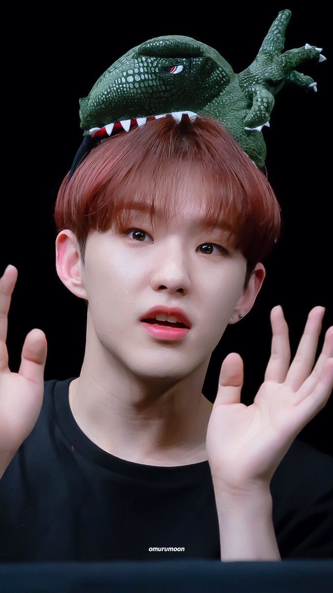 a hoshi-woozi combi thread