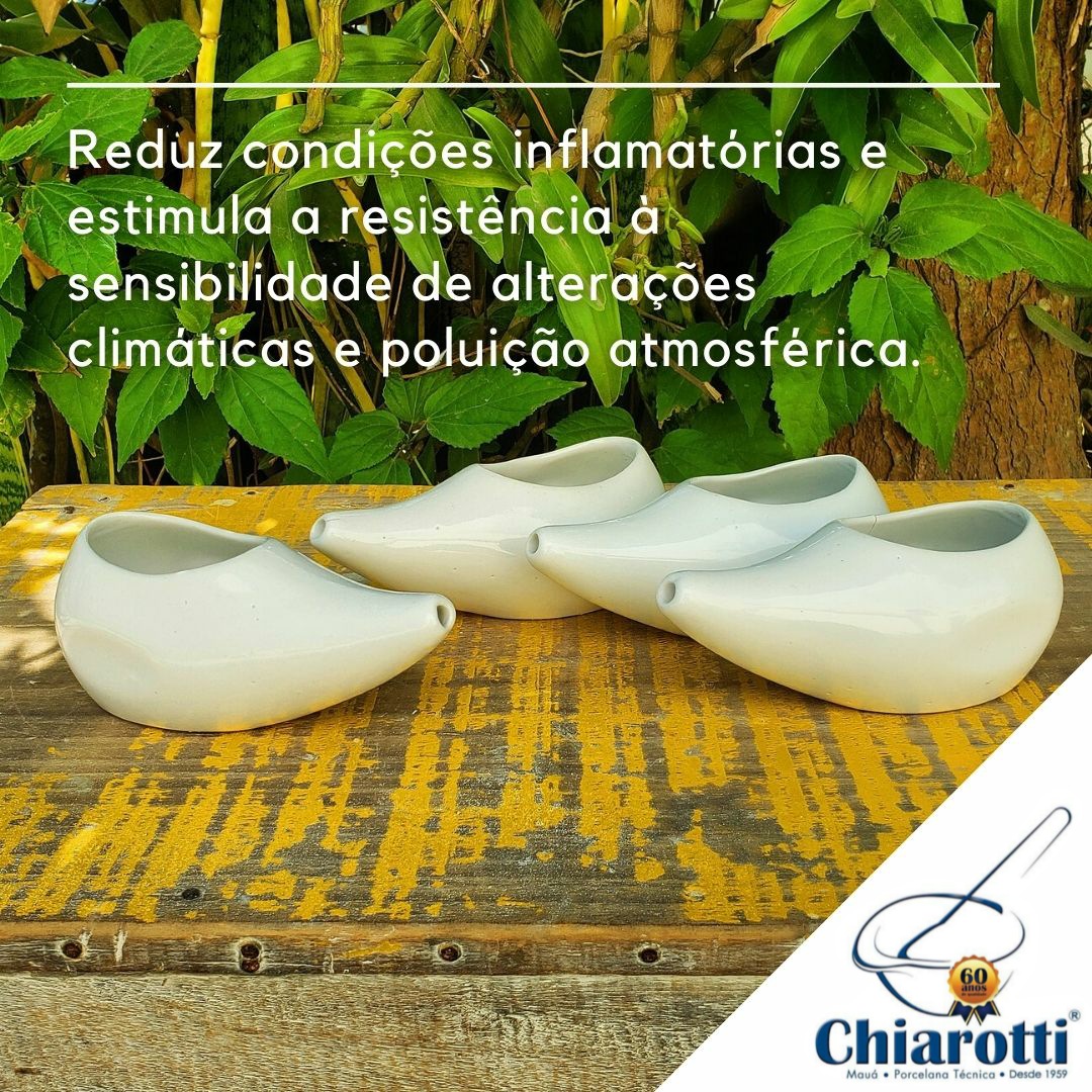 chiarotti1959's tweet photo. Jalaneti de 150ml em porcelana por apenas R$14,90!

#jalaneti #lota #netipot #jalanetis #lotas #netipots #gripe #sinusite #rinite #rinitealergica #gripechata #gripes #sinusiteatacada #respiratorias #sinusites #sinusitecronica #riniteallergica #rinitezero #sinusitechata https://t.co/Ca4ZXM0YkP